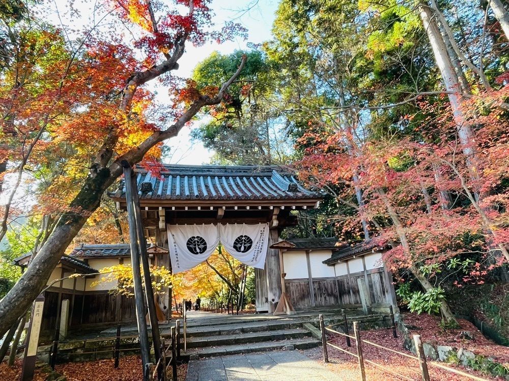 ぼんじり🐨さんが投稿した光明寺のもみじに関する口コミの画像