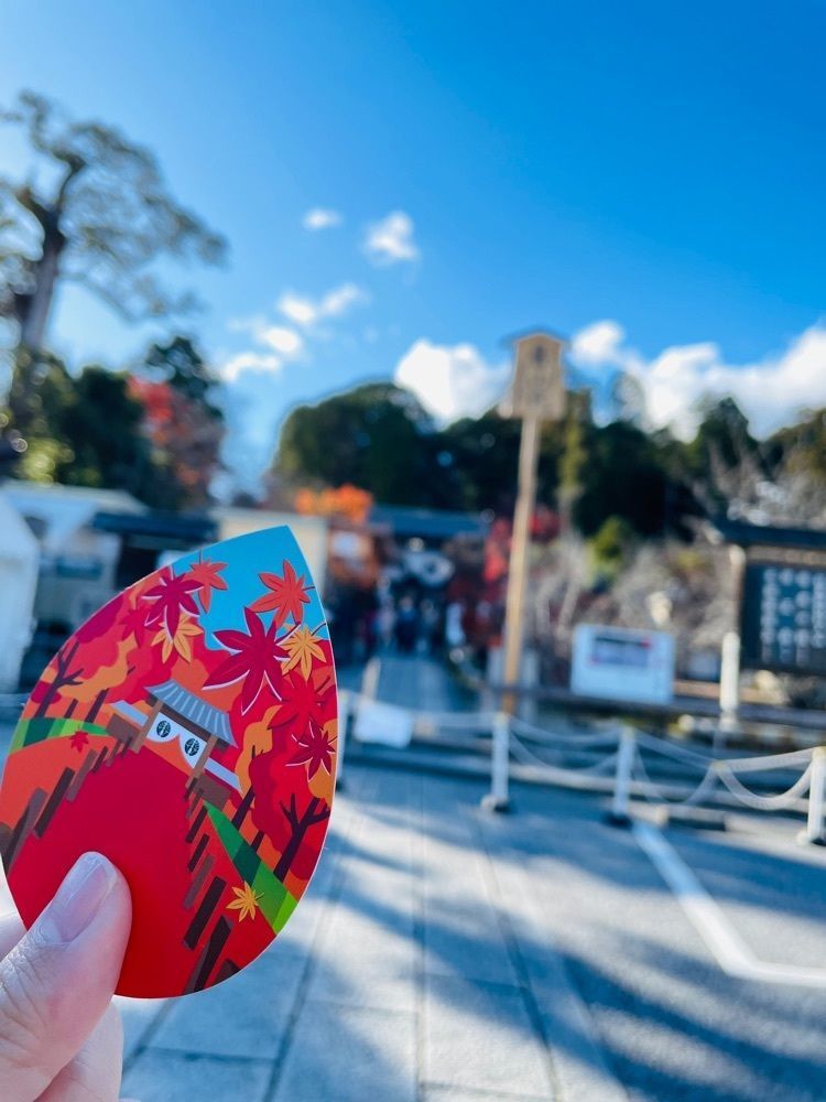 ぼんじり🐨さんが投稿した光明寺のもみじに関する口コミの画像