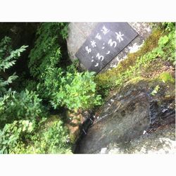 奈良でデートならここ 行っておきたいおすすめ観光スポットをご紹介 Aumo アウモ