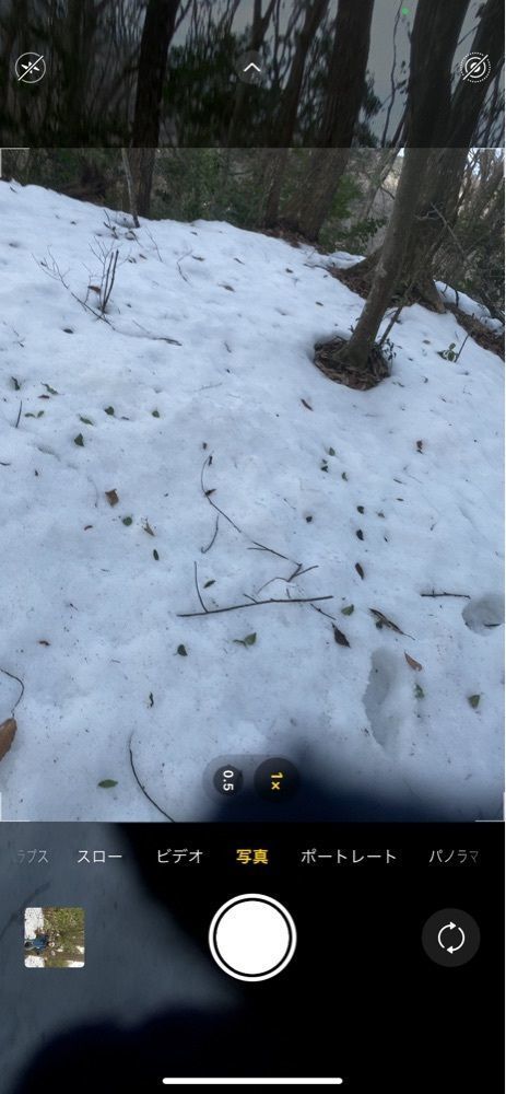 あるふぃすたさんが投稿したたかみや湯の森　福寿荘に関する口コミの画像