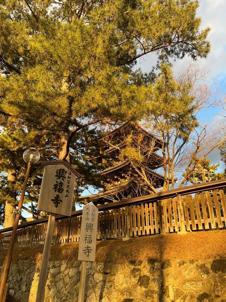 chou chou tabiさんが投稿した興福寺国宝館に関する口コミの画像
