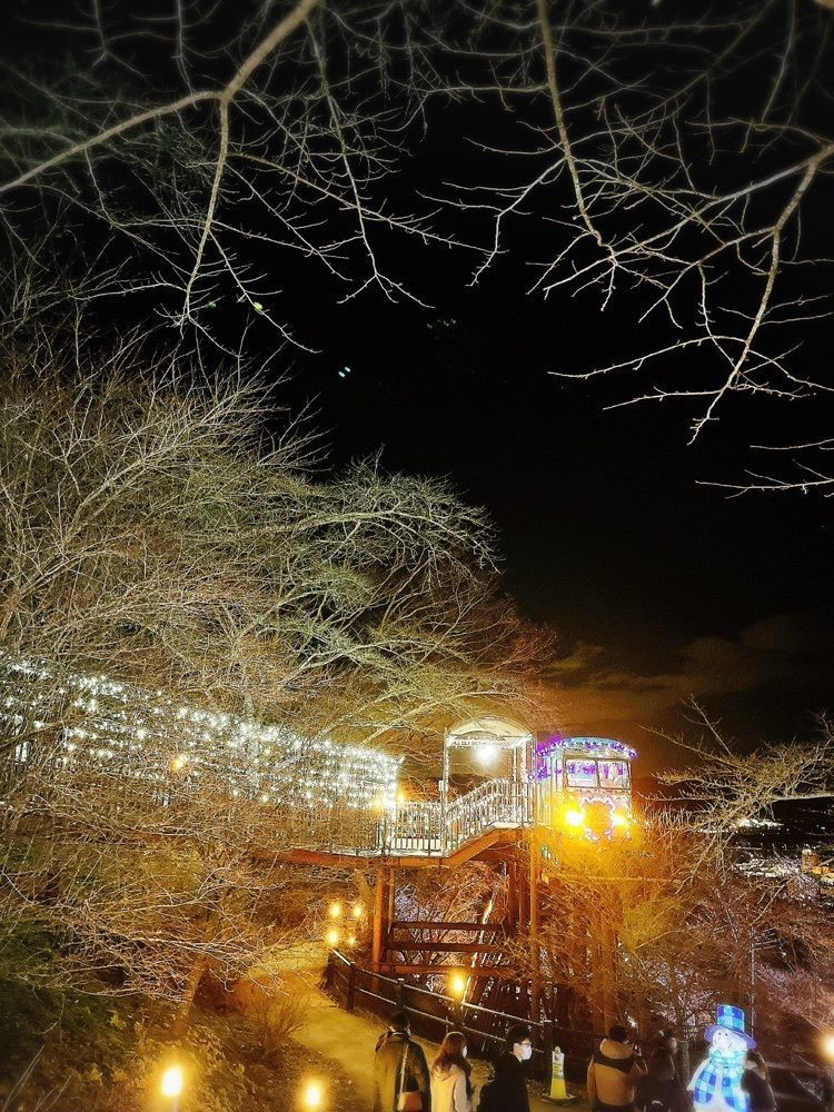 猫なぎ。さんが投稿した船岡城址公園スロープカーに関する口コミの画像