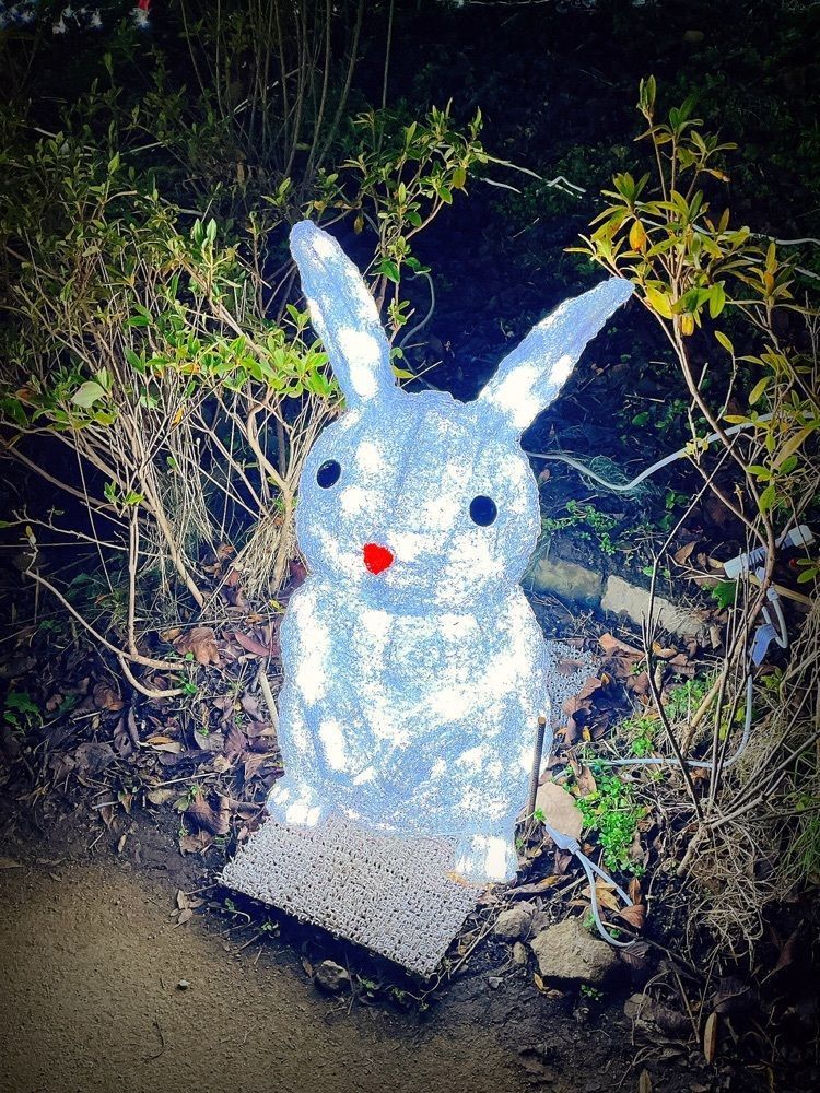 猫なぎ。さんが投稿した船岡城址公園スロープカーに関する口コミの画像