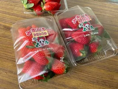 たにい農園
