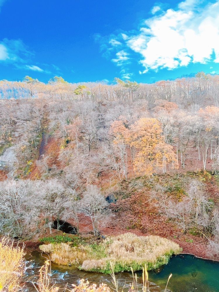 猫なぎ。さんが投稿した旬の市七ヶ宿に関する口コミの画像
