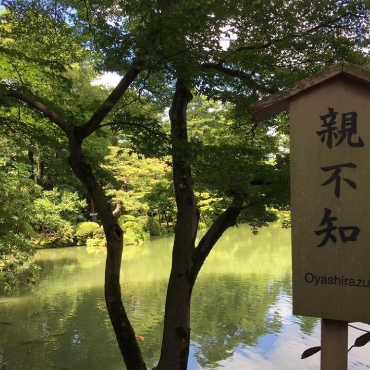 ＤＪゴン太さんが投稿した兼六園 三芳庵（けんろくえん みよしあん）に関する口コミの画像
