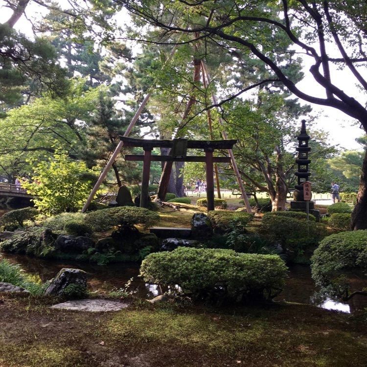 ＤＪゴン太さんが投稿した兼六園 三芳庵（けんろくえん みよしあん）に関する口コミの画像
