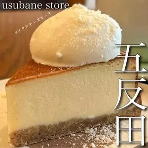 usubane store（ウスバネ ストア）