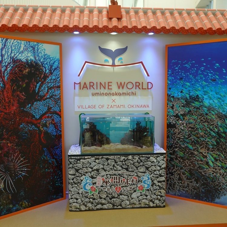 warm_showtime_d114の画像