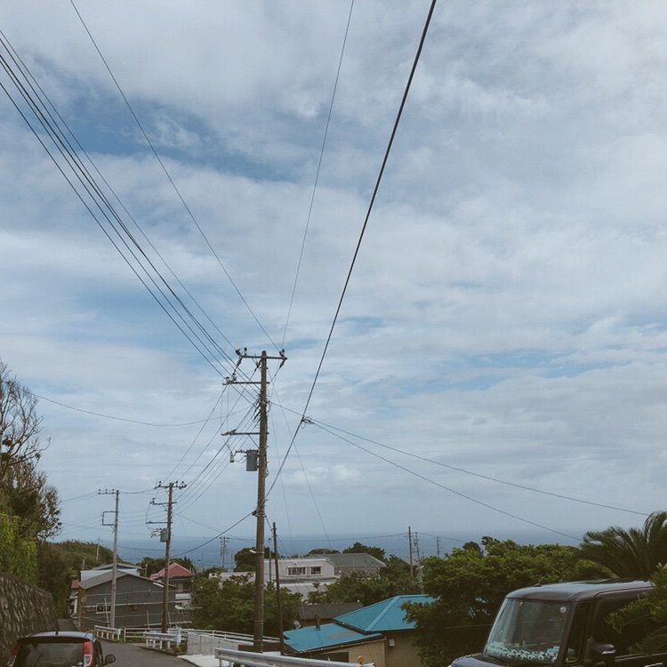 あんこさんが投稿した伊豆大島の椿に関する口コミの画像