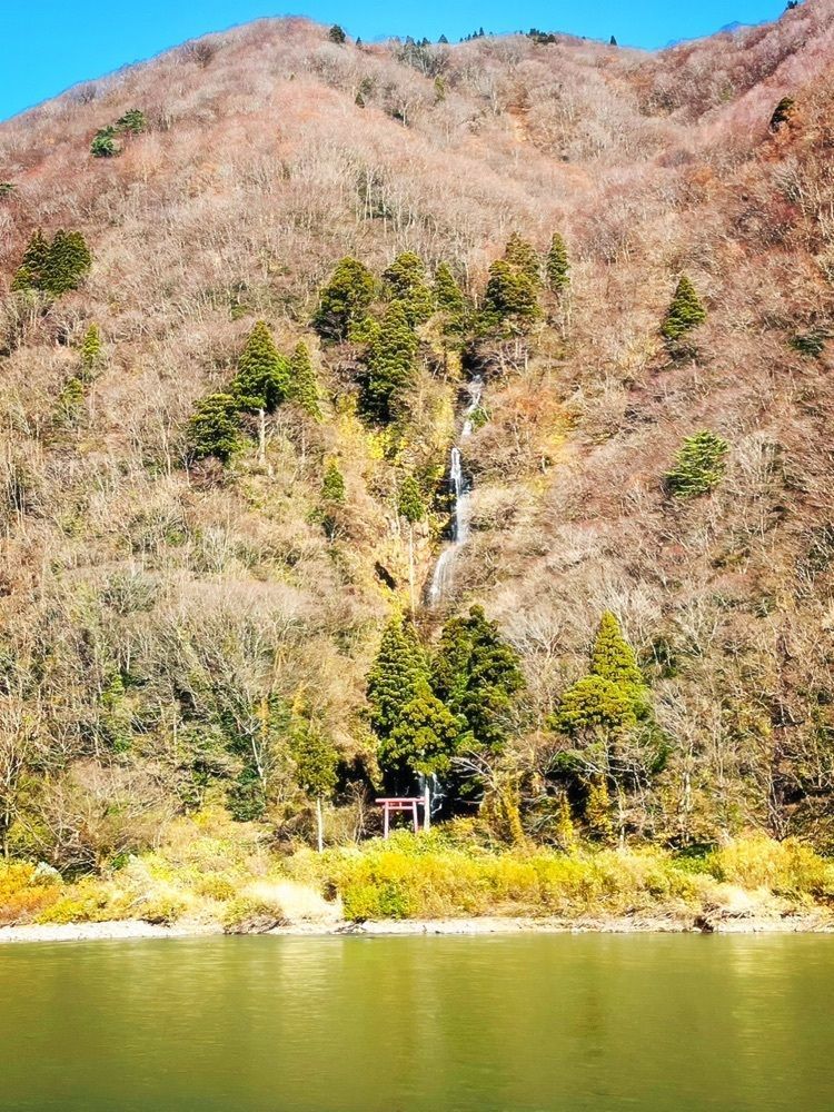 猫なぎ。さんが投稿した最上川に関する口コミの画像
