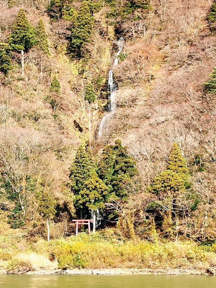 猫なぎ。さんが投稿した最上川に関する口コミの画像
