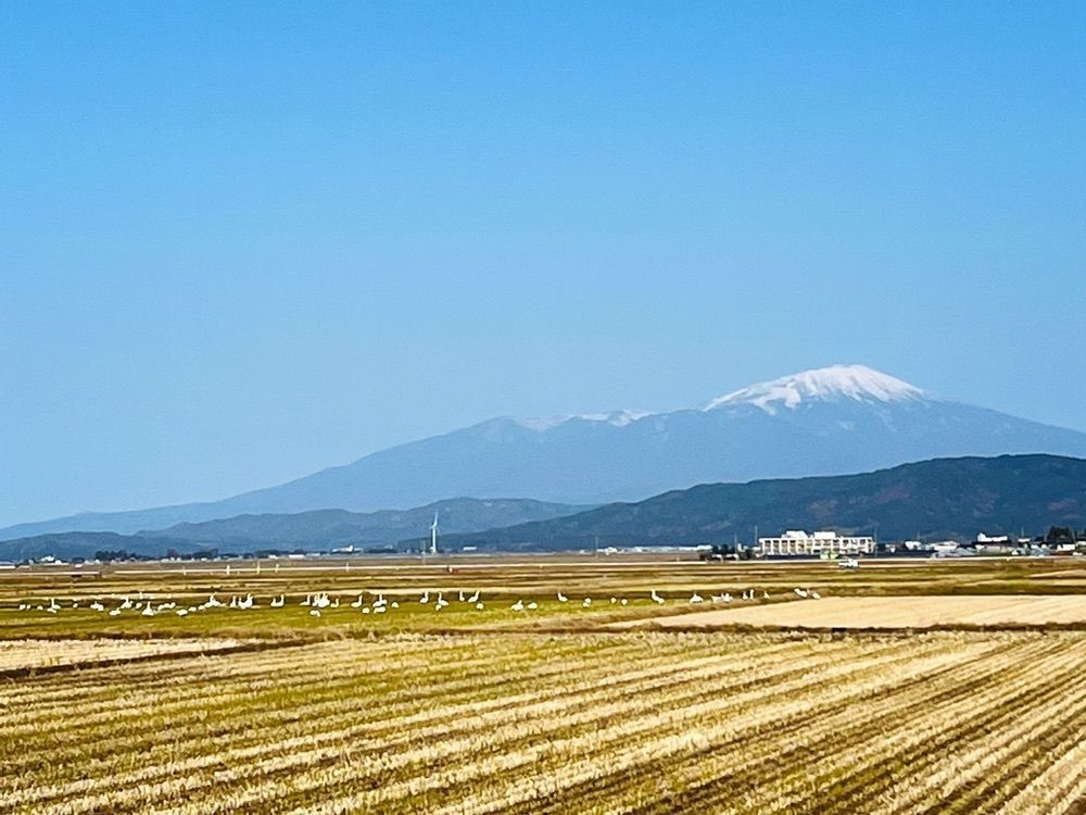猫なぎ。さんが投稿した最上川に関する口コミの画像