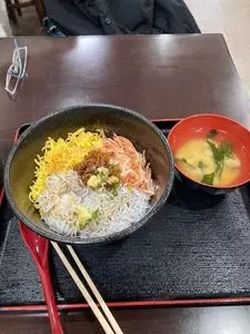 江の島 ハルミ