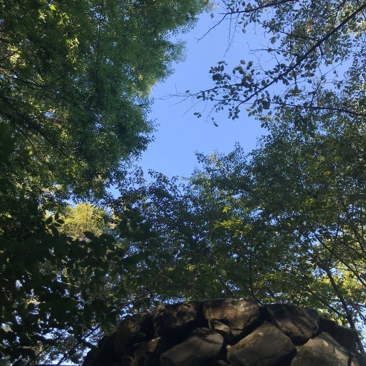 madone_takeshiさんが投稿した高鉢山（香川県綾川町）に関する口コミの画像