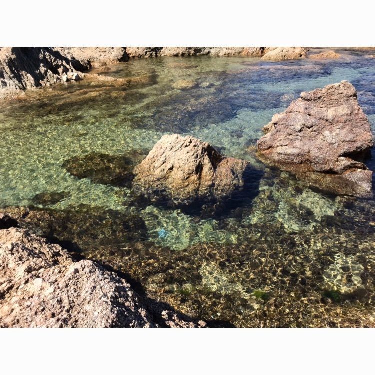 maaasanさんが投稿した笹川海水浴場に関する口コミの画像