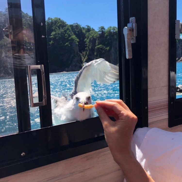 maaasanさんが投稿した笹川流れ遊覧船に関する口コミの画像