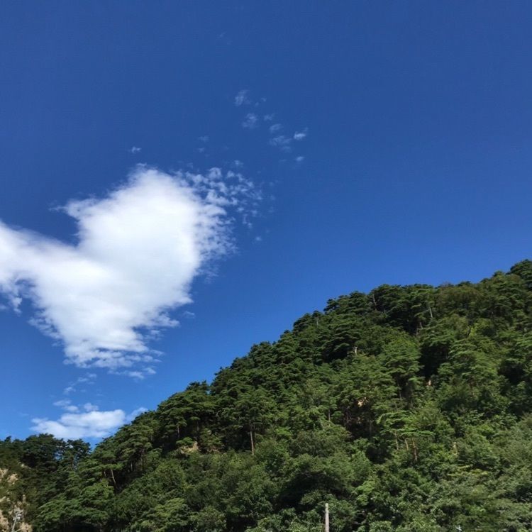 maaasanさんが投稿した笹川流れ遊覧船に関する口コミの画像