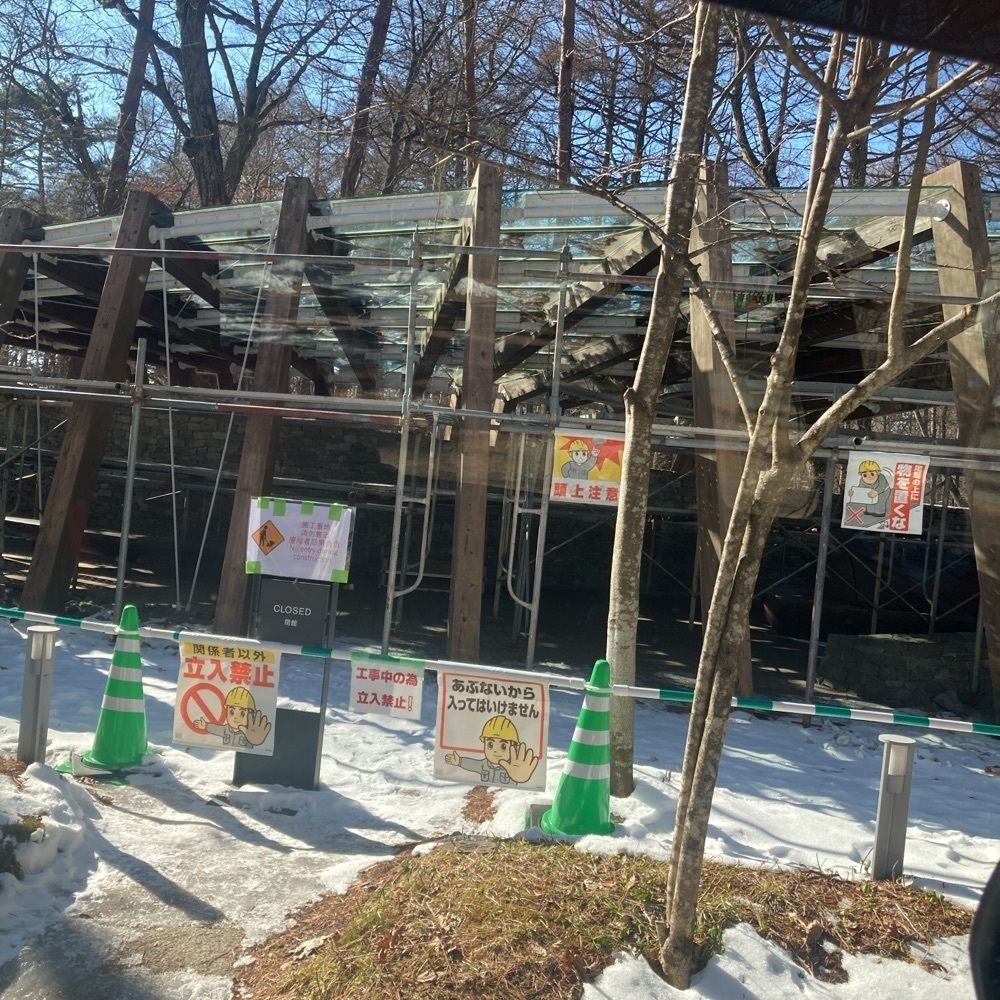 ロッシフミさんが投稿したザ　カウボーイハウスに関する口コミの画像