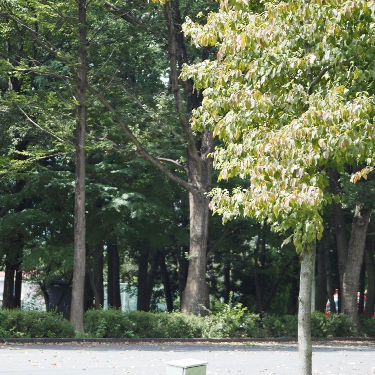 Shoさんが投稿した上野沼やすらぎの里に関する口コミの画像
