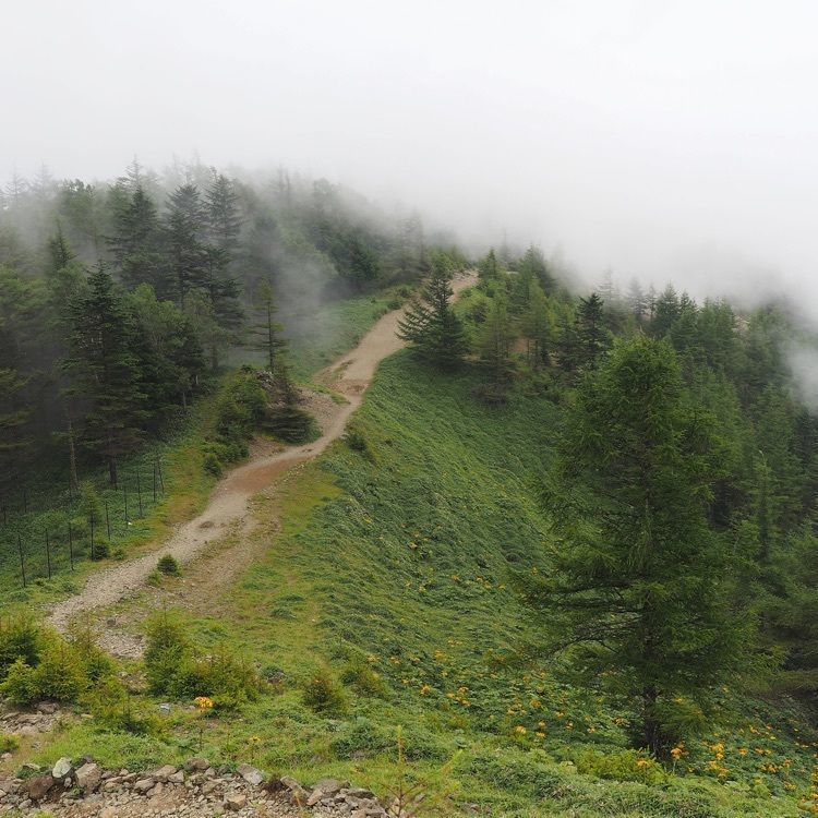 GENさんが投稿した雲取山に関する口コミの画像