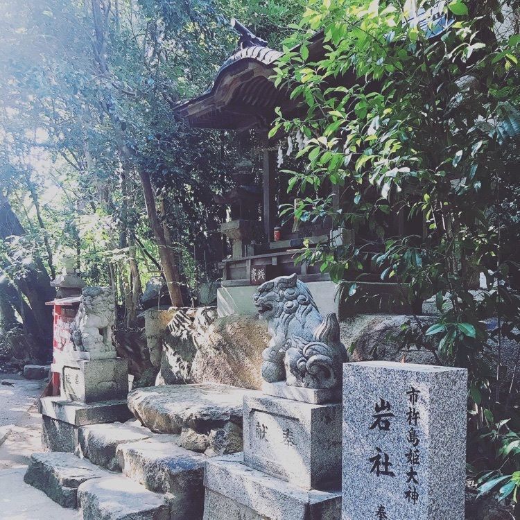 ruujunさんが投稿した越木岩神社のヒメユズリハ群落に関する口コミの画像