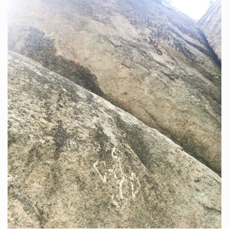 ruujunさんが投稿した越木岩神社のヒメユズリハ群落に関する口コミの画像