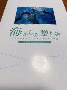 星乃珈琲店 KITTE博多店