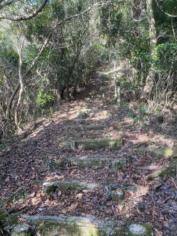 あるふぃすたさんが投稿した嵩山（山口県周防大島町）に関する口コミの画像