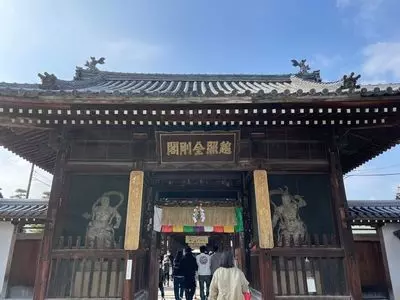 善通寺境内の大楠