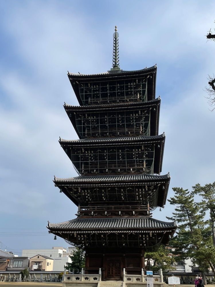 みーなさんが投稿した善通寺境内の大楠に関する口コミの画像
