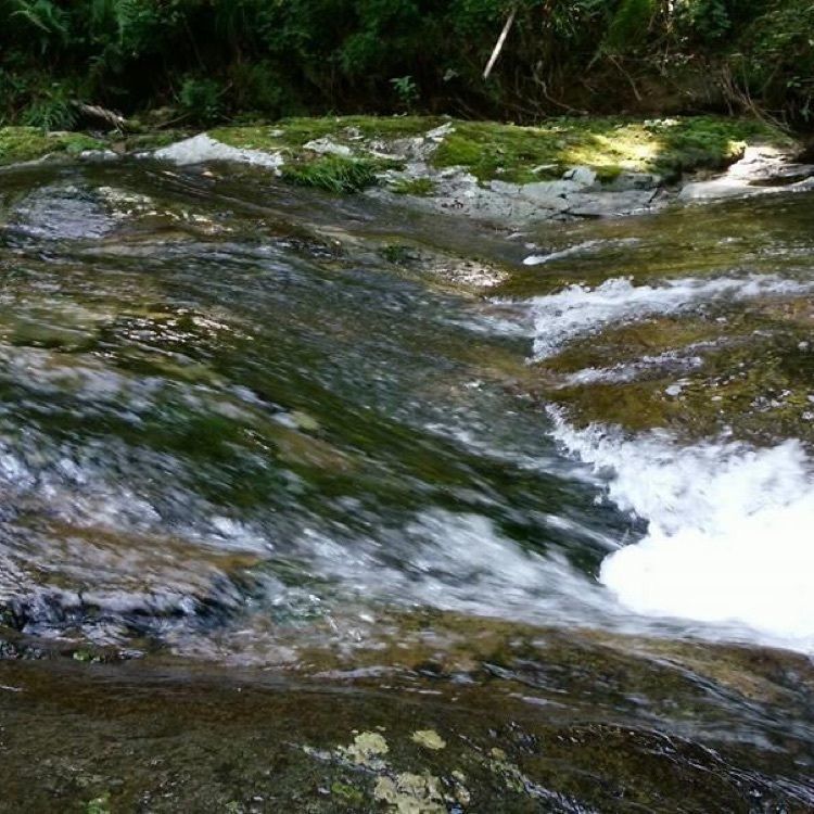 ＤＪゴン太さんが投稿した魚ヶ滝荘キャンプ場に関する口コミの画像
