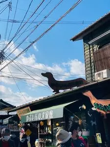 やすらぎ湯の坪横丁