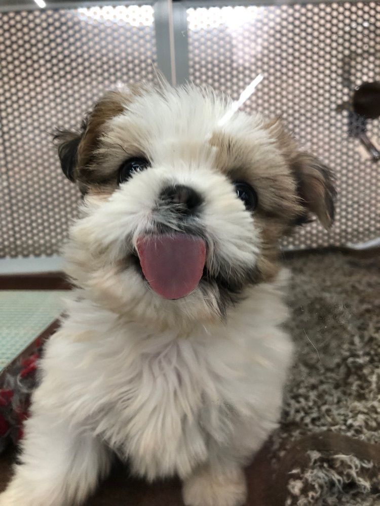 からっ風②さんが投稿したセキチュー 熊谷小島店に関する口コミの画像