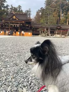 多賀神社