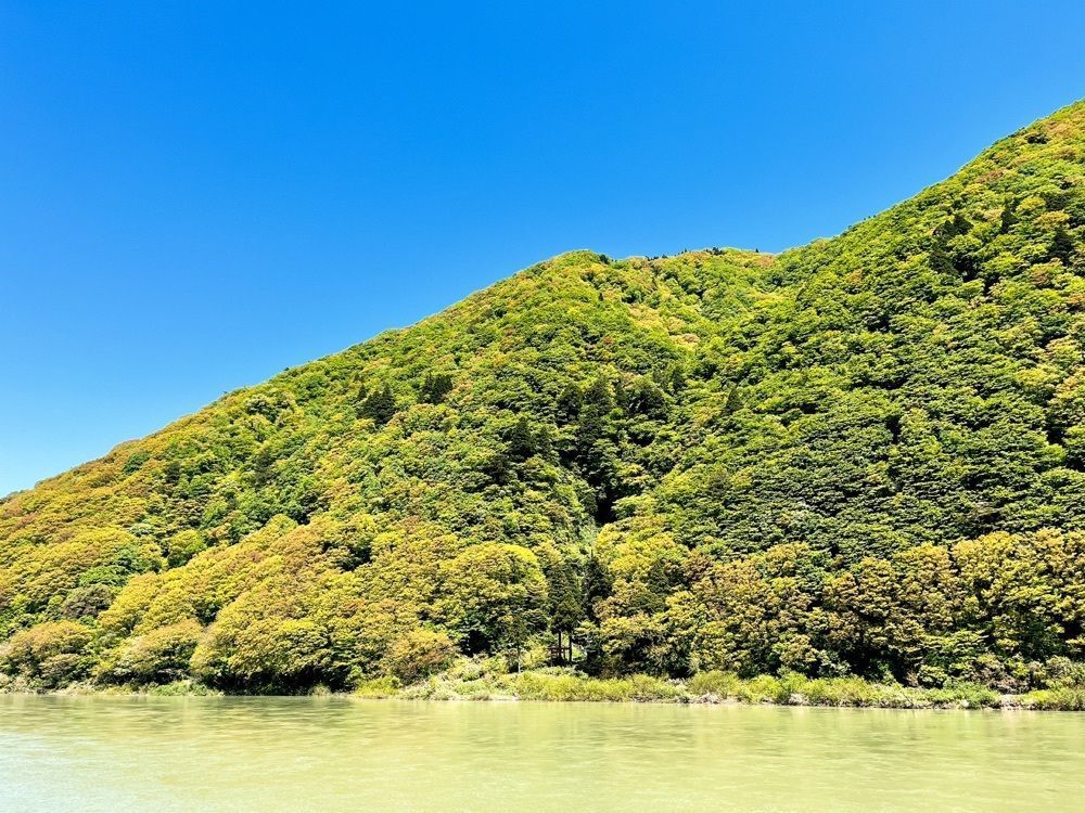 猫なぎ。さんが投稿した最上川（山形県大蔵村）に関する口コミの画像