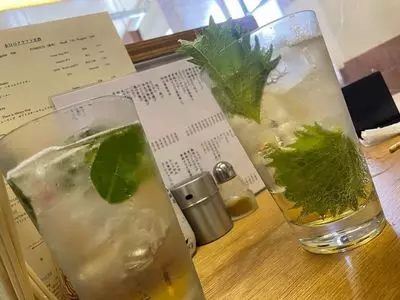 麦酒宿 まり花 大井町