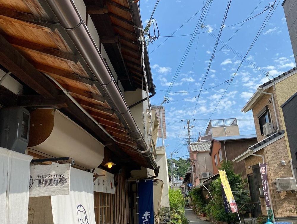 おでかけ探検部さんが投稿したピッコロット＆グリーンハウスカフェ（PICCOLOTTO & GREEN HOUSE Café）に関する口コミの画像