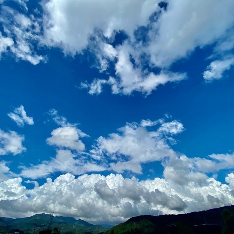 RIMさんが投稿したチャイルドに関する口コミの画像