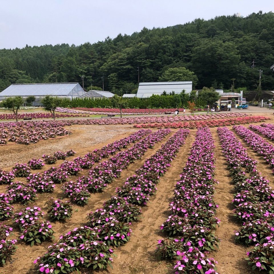 real_cafeteria_さんが投稿した清流庵に関する口コミの画像