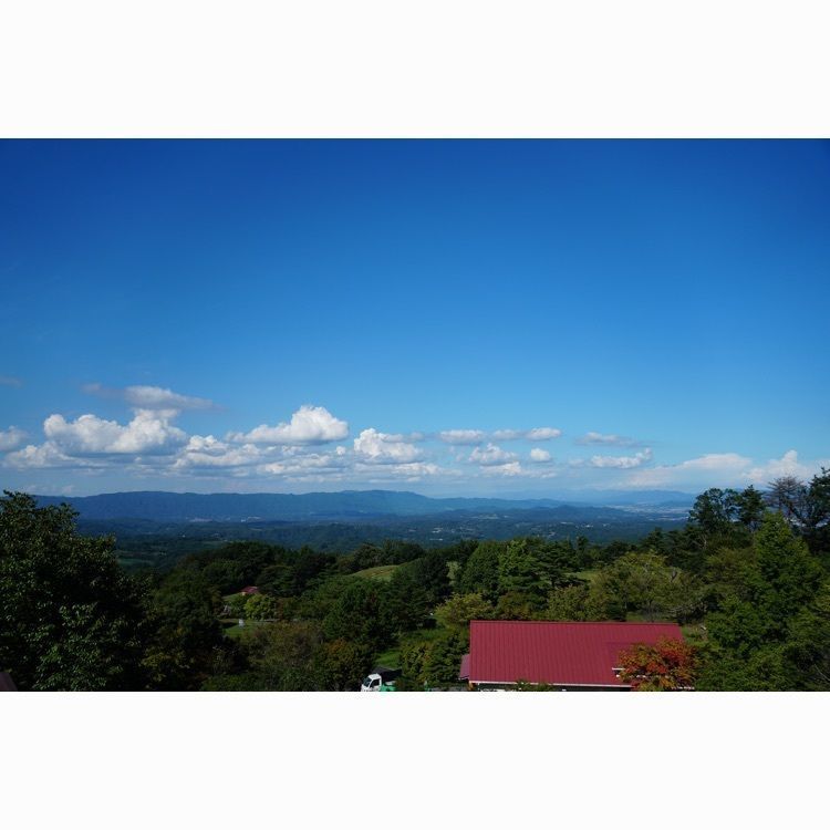 m_keijiさんが投稿したフォレストパーク神野山に関する口コミの画像