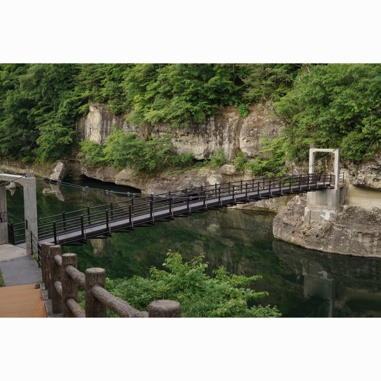 Ⓜ︎ocochanの画像