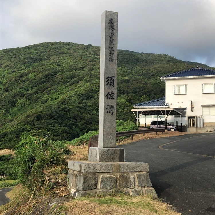 junkunさんが投稿したホルンフェルス付近／つわぶきに関する口コミの画像