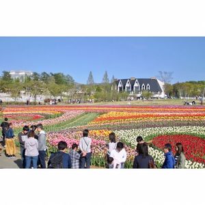 ひるがの高原　牧歌の里