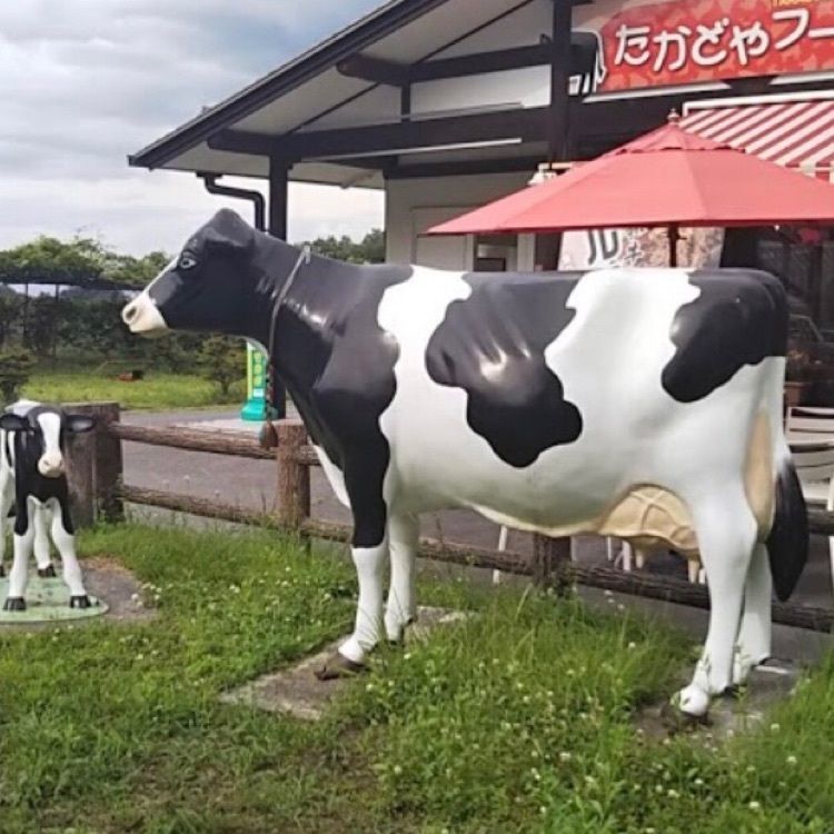 ＤＪゴン太さんが投稿した道の駅信濃路下條うまいもの館に関する口コミの画像