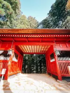 羽黒山の杉並木