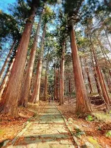羽黒山 斎館（ハグロサン サイカン）