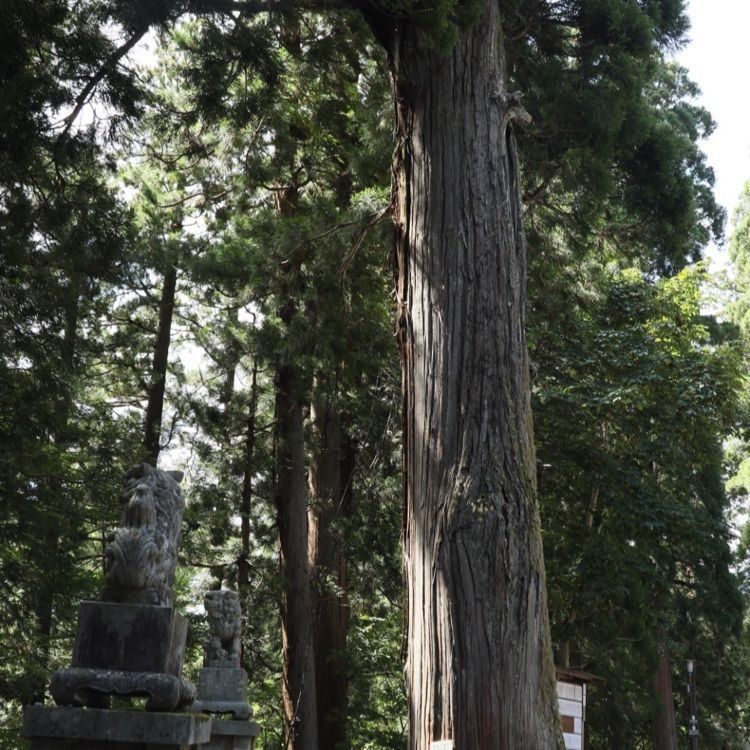 jun1216さんが投稿した戸隠観光案内所に関する口コミの画像