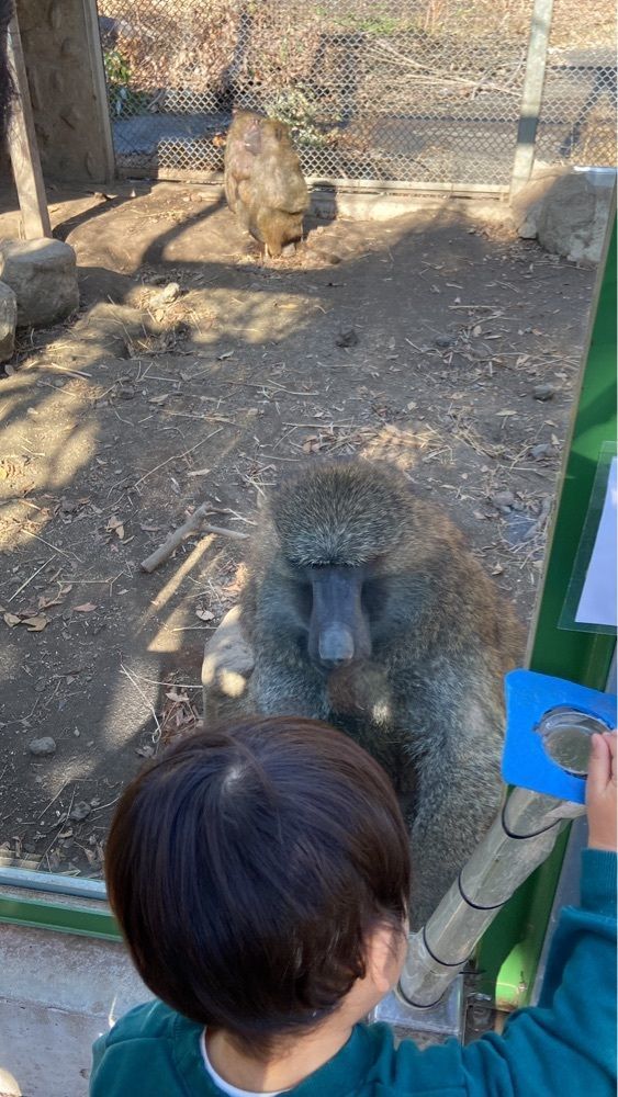 kinjiu_aさんが投稿したディッピンドッツ 伊豆アニマルキングダムに関する口コミの画像