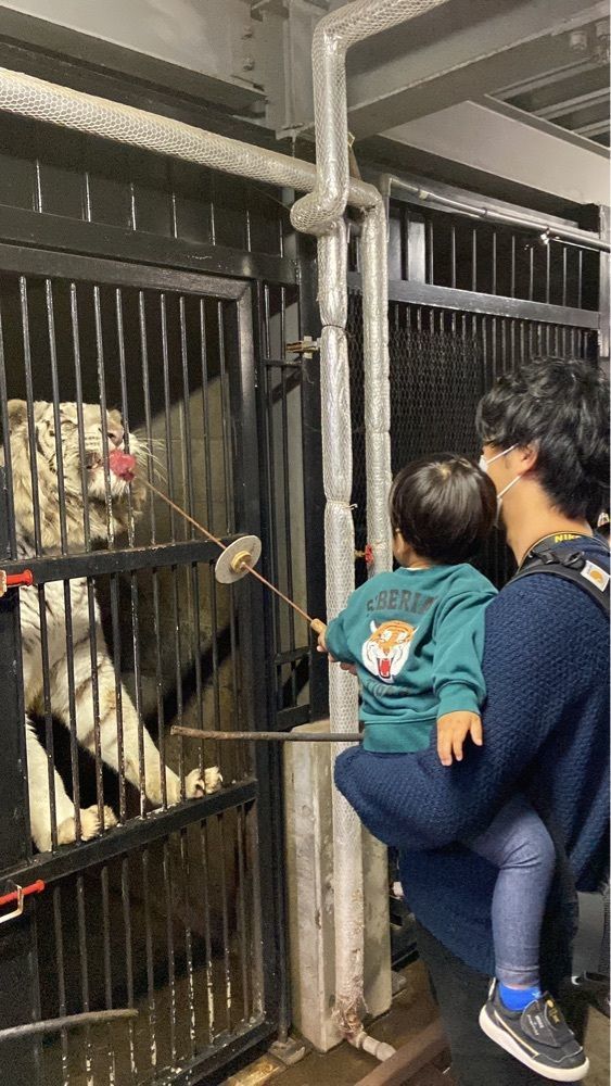 kinjiu_aさんが投稿したディッピンドッツ 伊豆アニマルキングダムに関する口コミの画像